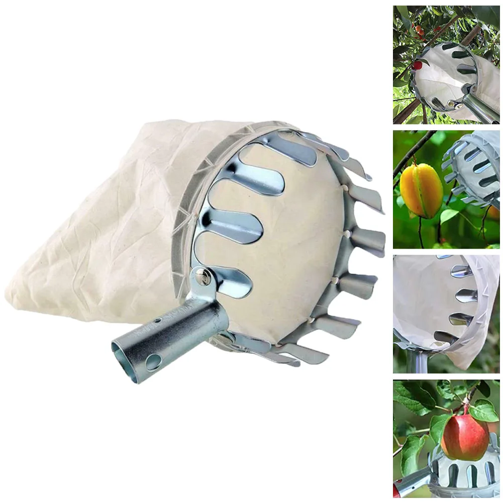 Metal Fruit Picker Orchard Gardening Apple Peach Fruit Picker Head Basket Portable Fruits Catcher High Tree Picking Garden Tool
Metal Fruit Picker Orchard Gardening Apple Peach Fruit Picker Head Basket Portable Fruits Catcher High Tree Picking Garden Tool