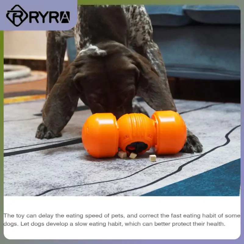 Rubber Dog Teeth Training Toys Easy To Use Beneficial For Gastrointestinal Digestion Pet Toy Pets Cannot Damage This Toy
Rubber Dog Teeth Training Toys Easy To Use Beneficial For Gastrointestinal Digestion Pet Toy Pets Cannot Damage This Toy