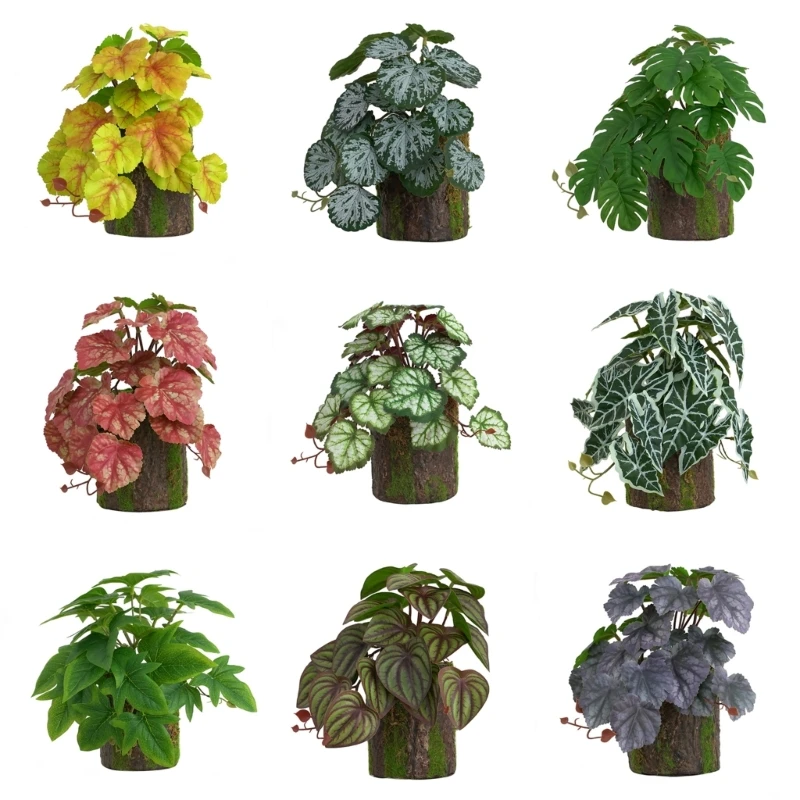 Stump Reptile Plants Terrarium Plant Habitat Decor Naural Appearance M6CE
Stump Reptile Plants Terrarium Plant Habitat Decor Naural Appearance M6CE