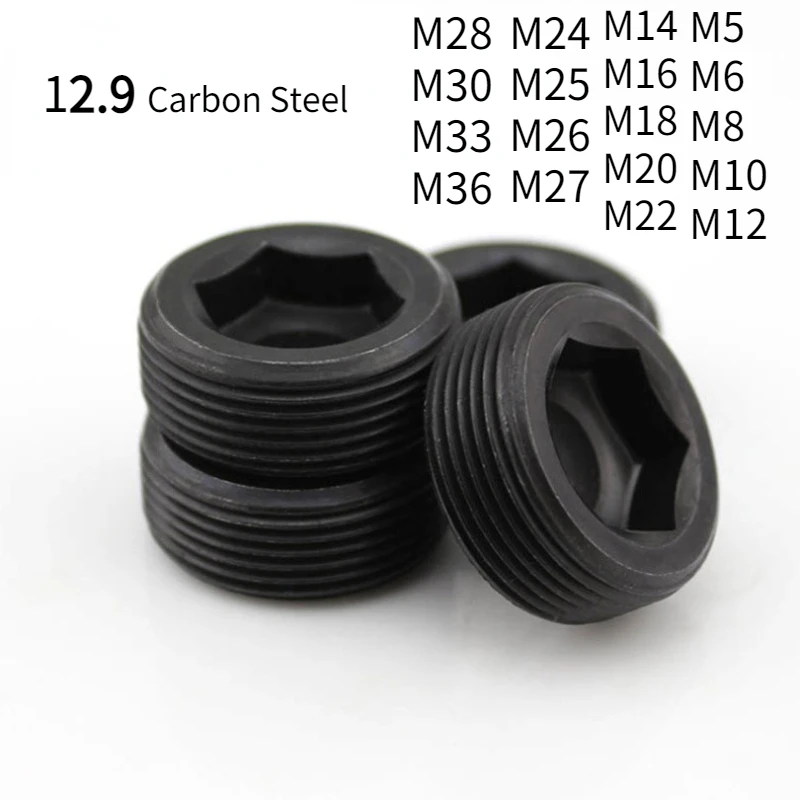 1/2/10Pcs 12.9 Carbon Steel Pipe Plug Thread Hex Socket Oil Line Plug Throat Tap Stop Plug Screws M5-M36 Pitch 0.8/1/1.5/2/2.5
1/2/10Pcs 12.9 Carbon Steel Pipe Plug Thread Hex Socket Oil Line Plug Throat Tap Stop Plug Screws M5-M36 Pitch 0.8/1/1.5/2/2.5