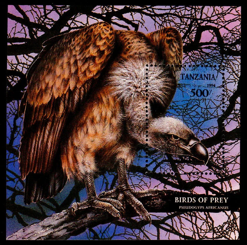 Tanzania,1994,African Vultures,Birds of Prey,Bird Stamp, Animal Stamps, Stamp Collection,Post Stamp,Souvenir Sheet,Real Original
Tanzania,1994,African Vultures,Birds of Prey,Bird Stamp, Animal Stamps, Stamp Collection,Post Stamp,Souvenir Sheet,Real Original