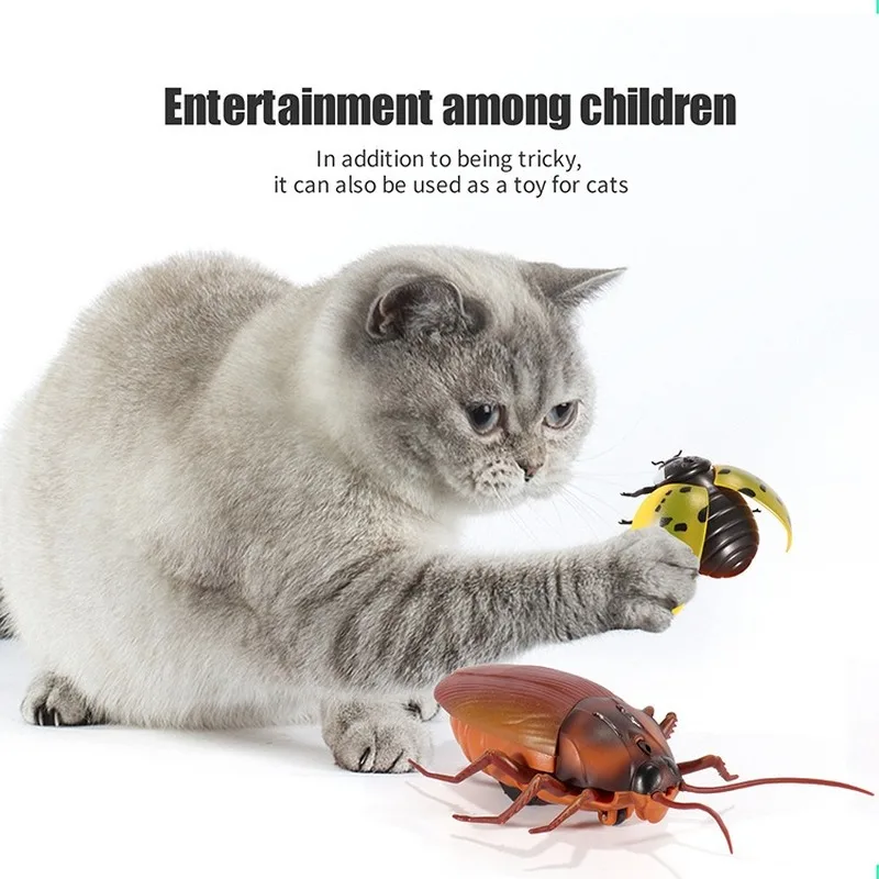 Electronic Smart Cockroach Cat Toy Intelligent Induction Obstacle Avoidance Function Auto Retreat Funny Cat Chasing Toy For Cats
Electronic Smart Cockroach Cat Toy Intelligent Induction Obstacle Avoidance Function Auto Retreat Funny Cat Chasing Toy For Cats
