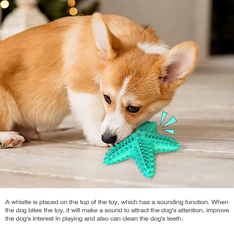 Interactive Puppy Teeth Cleaning Toys Creative Outdoor Training Toothbrush Portable Dental Teeth Cleaning Pet Molar Dog Starfish
Interactive Puppy Teeth Cleaning Toys Creative Outdoor Training Toothbrush Portable Dental Teeth Cleaning Pet Molar Dog Starfish