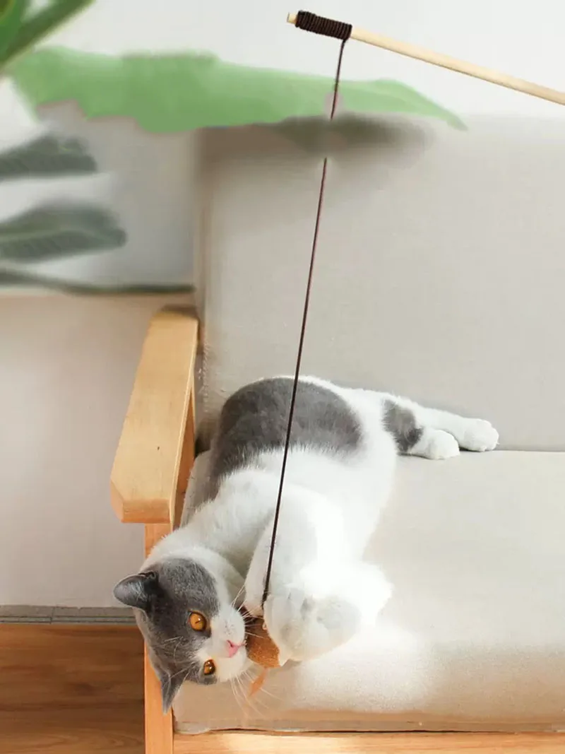 1pc Toys Cat Stick Tease Wooden Mouse Bell Pet Supplies Kitten Feathers Interactive Sticks Cats Articles Funny Colorful Rod
1pc Toys Cat Stick Tease Wooden Mouse Bell Pet Supplies Kitten Feathers Interactive Sticks Cats Articles Funny Colorful Rod