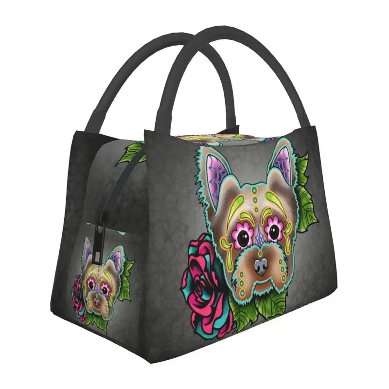 Ручная Изолированная Охлажденная сумка для обеда в простом стиле удобна, привлекательна, милая, подходит для пикников друзей и близких
Ручная Изолированная Охлажденная сумка для обеда в простом стиле удобна, привлекательна, милая, подходит для пикников друзей и близких