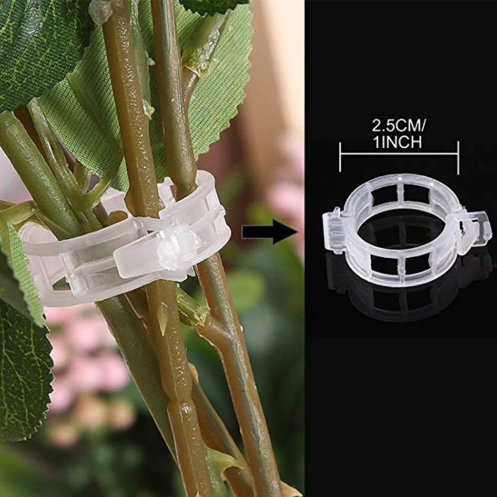 Retaining Clips Reusable Supports Connects Clamping Tools Agricultural Gardening Supplies Greenhouse Vegetable 200Pcs
Retaining Clips Reusable Supports Connects Clamping Tools Agricultural Gardening Supplies Greenhouse Vegetable 200Pcs