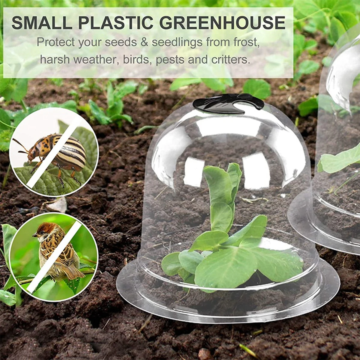6Pcs Plant Freeze Protection Covers Garden Cloche Reusable PVC Plant Humidity Domes for Garden Greenhouse
6Pcs Plant Freeze Protection Covers Garden Cloche Reusable PVC Plant Humidity Domes for Garden Greenhouse