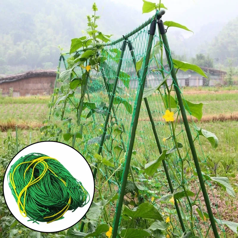 0.9*1.8m Trellis Garden Climbing Net Mesh Plant Support Plastic Green Bean Cucumber Ropes For Garden Plant Climbing
0.9*1.8m Trellis Garden Climbing Net Mesh Plant Support Plastic Green Bean Cucumber Ropes For Garden Plant Climbing