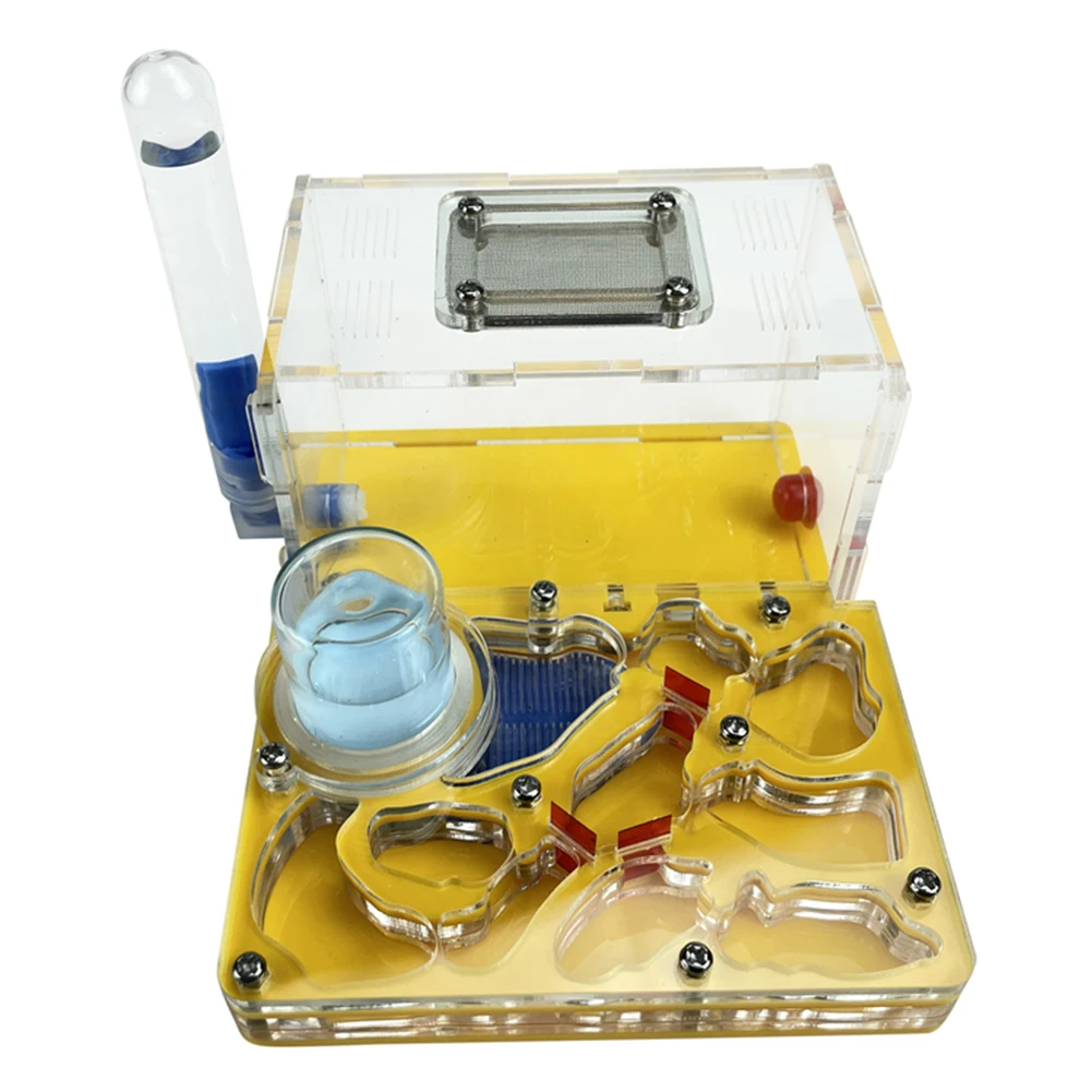 DIY Acryl Flat 3D Ant Farm Ant Nest with Feeding Area Ant House Insect Villa Pet Anthill Workshop with Moisturizing Water Tower
DIY Acryl Flat 3D Ant Farm Ant Nest with Feeding Area Ant House Insect Villa Pet Anthill Workshop with Moisturizing Water Tower