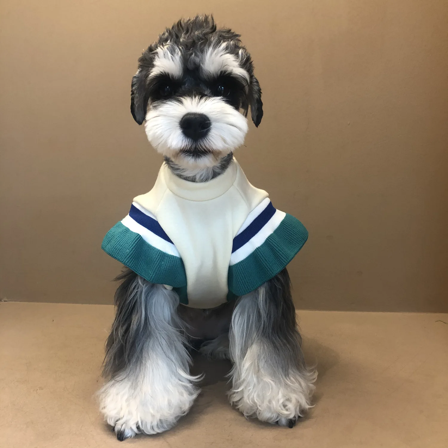 Fashion Contrast Color Dog Hoodies Puppy Pet Cat Clothes Schnauzer Bichon Dog Hoodie for Small Dog Autumn and Winter Pet Clothes
Fashion Contrast Color Dog Hoodies Puppy Pet Cat Clothes Schnauzer Bichon Dog Hoodie for Small Dog Autumn and Winter Pet Clothes