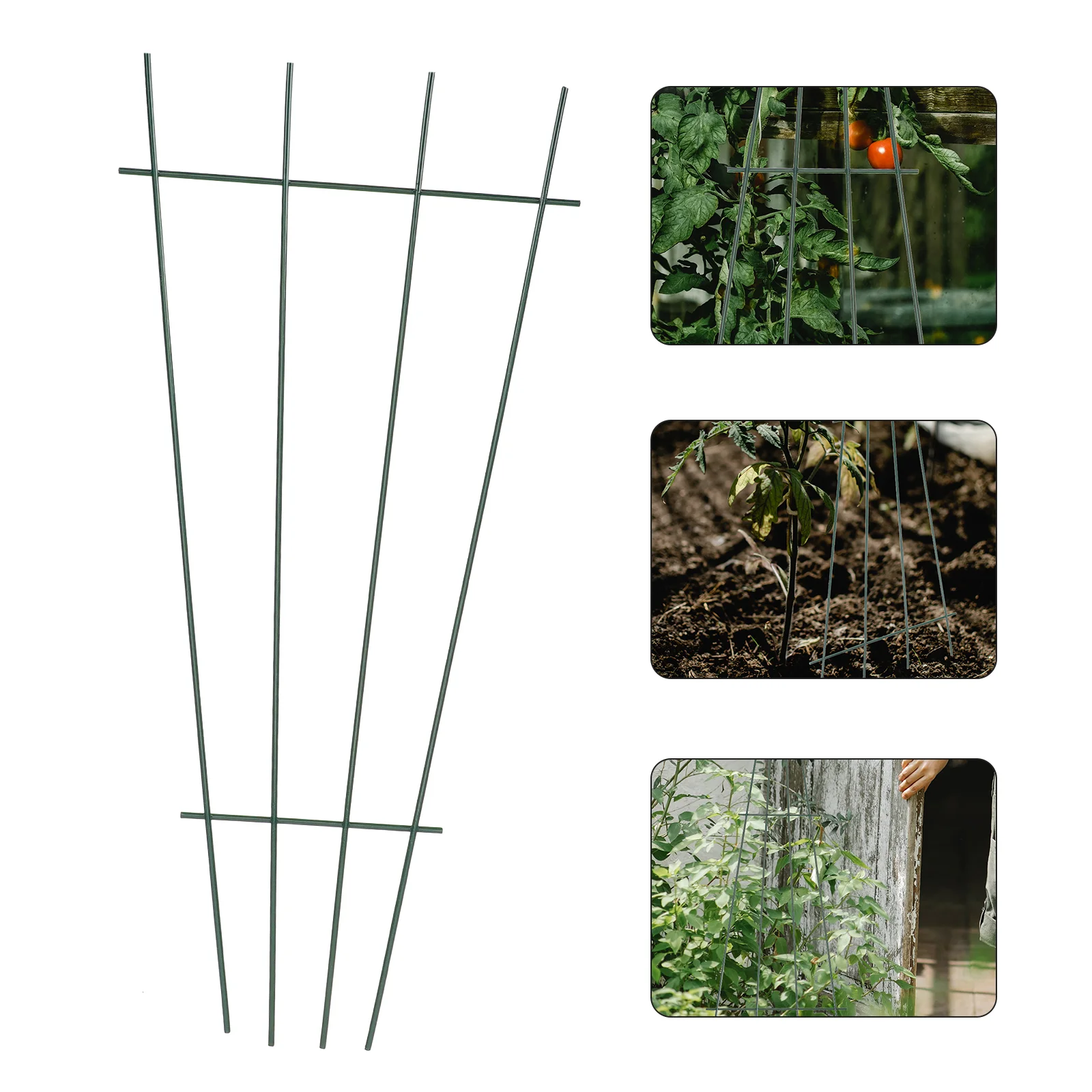 Garden Trellis Plant Climbing Holder Climbing Plants Trellis Iron Tomatoes Cages For Garden for Yard
Garden Trellis Plant Climbing Holder Climbing Plants Trellis Iron Tomatoes Cages For Garden for Yard