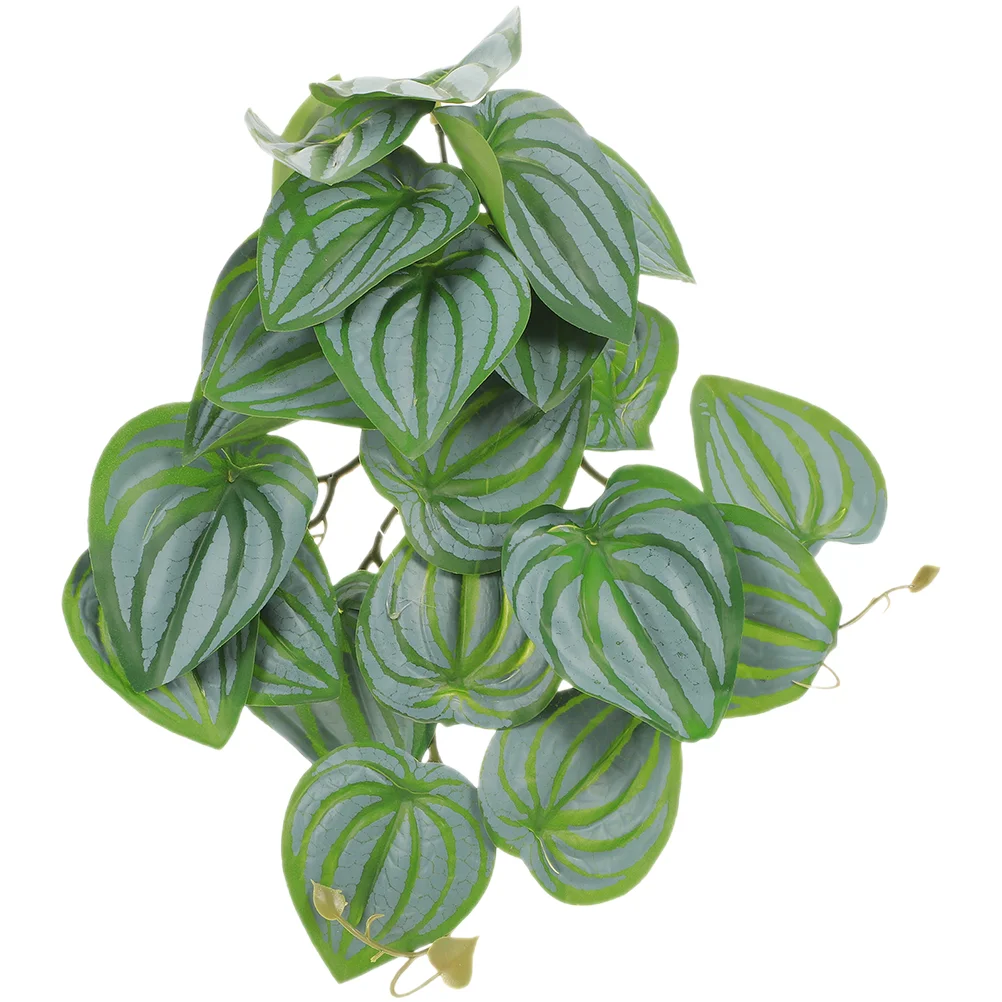 Suction Cups Hanging Plants Fake Aquarium The Lid Simulated Leaf Reptile Terrarium Home Decor Habitat
Suction Cups Hanging Plants Fake Aquarium The Lid Simulated Leaf Reptile Terrarium Home Decor Habitat