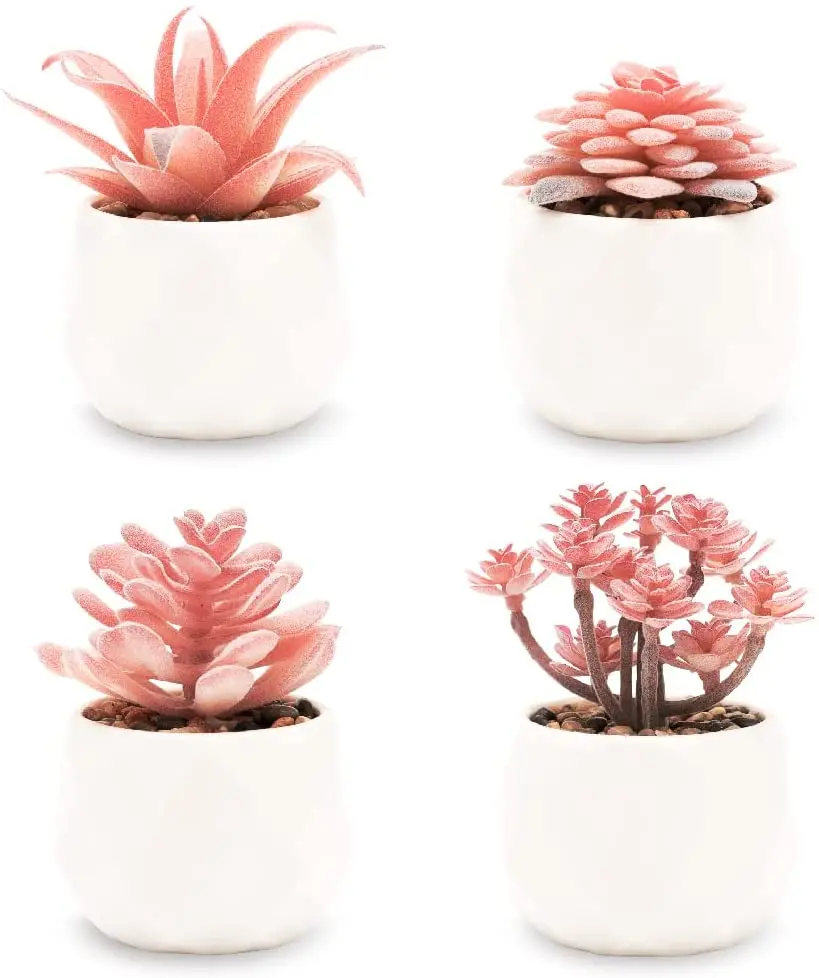 Faux Succulents in White Ceramic Pots (Set of 4) - Mini Life-Like Artificial Succulent Plants for Office Desk, Home Shelves
Faux Succulents in White Ceramic Pots (Set of 4) - Mini Life-Like Artificial Succulent Plants for Office Desk, Home Shelves