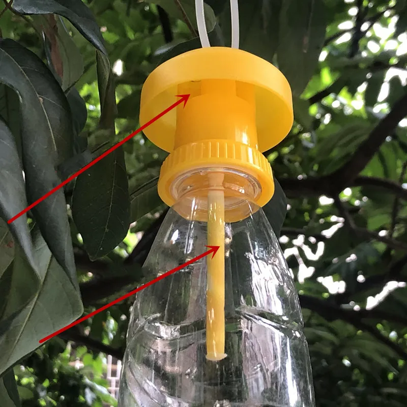 

Fruit Fly Trap Killer Plastic Yellow Drosophila Trap Fly Catcher Pest Insect Control For Home Farm Orchard 6 * 6 * 2 cm