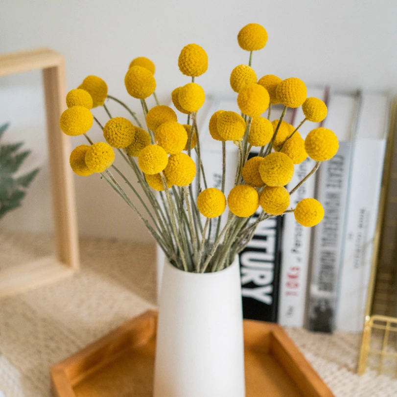 20PCS Craspedia Billy Balls Buttons Floral Bouquet Flowers for Decoration Natural Dried Flowers Wedding Home Tall Vase Decor
20PCS Craspedia Billy Balls Buttons Floral Bouquet Flowers for Decoration Natural Dried Flowers Wedding Home Tall Vase Decor