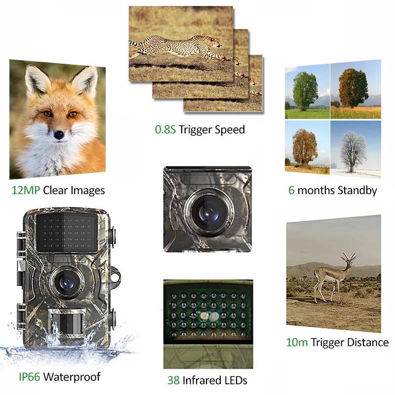 Anti Hunting Cameras Hunting Camera 1 Set 1920*1080P 2.0TFT Color Screen DL001 HD IP66 Waterproof Clear Images
Anti Hunting Cameras Hunting Camera 1 Set 1920*1080P 2.0TFT Color Screen DL001 HD IP66 Waterproof Clear Images