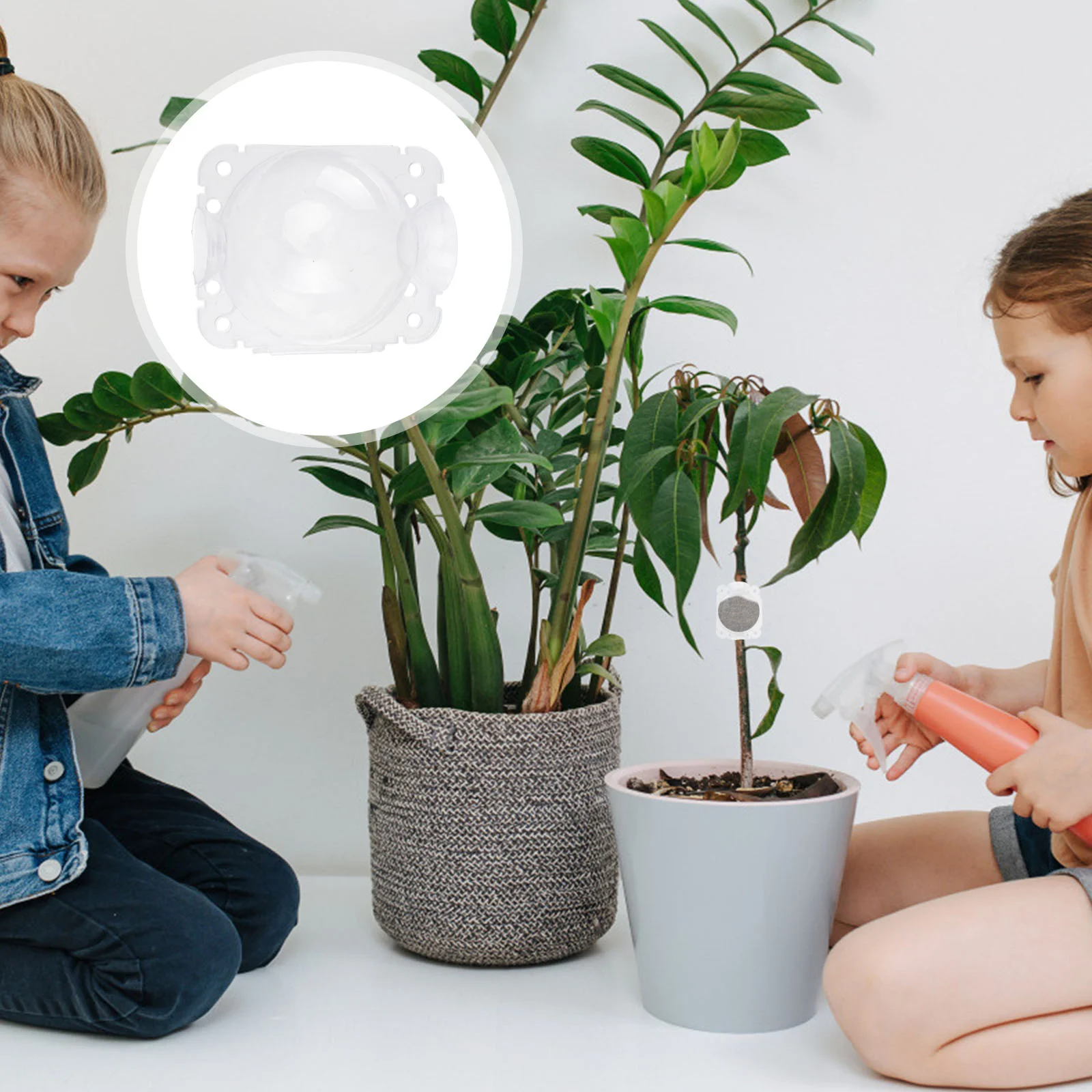 Box Grafting Rooting Container Device Growing Planting Pressure High Propagation Propagator Rooter Boxes Root Grow Cuttage Tree
Box Grafting Rooting Container Device Growing Planting Pressure High Propagation Propagator Rooter Boxes Root Grow Cuttage Tree