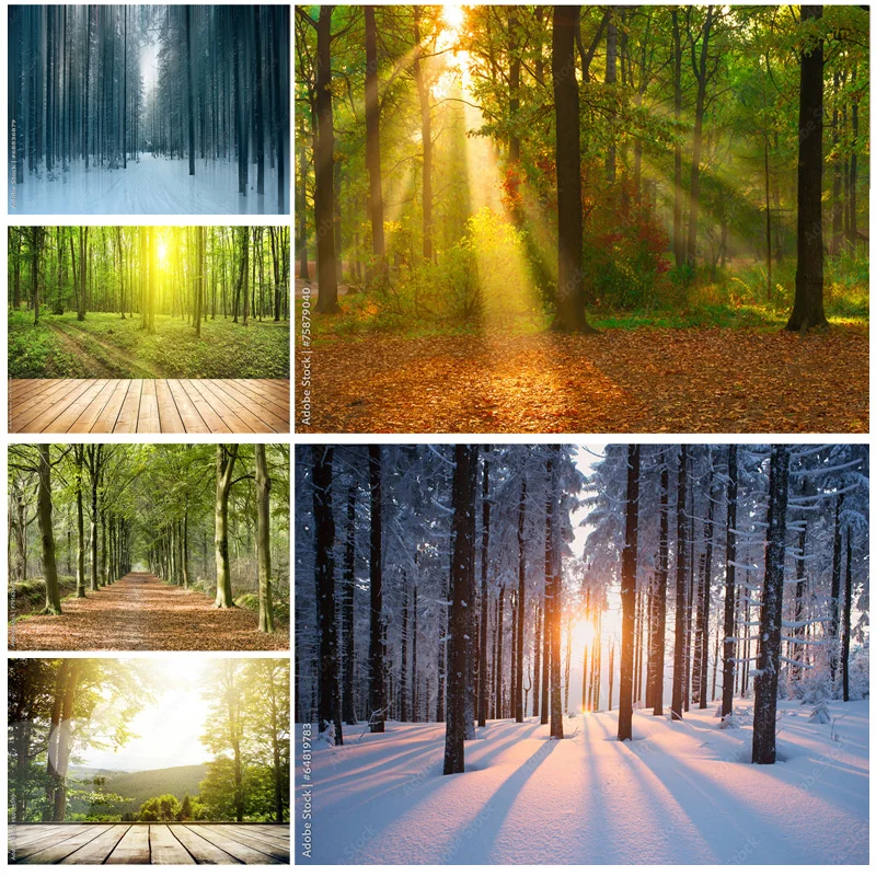 Natural Scenery Photography Background Forest Landscape Travel Photo Backdrops Studio Props 22331 SELI-02
Natural Scenery Photography Background Forest Landscape Travel Photo Backdrops Studio Props 22331 SELI-02
