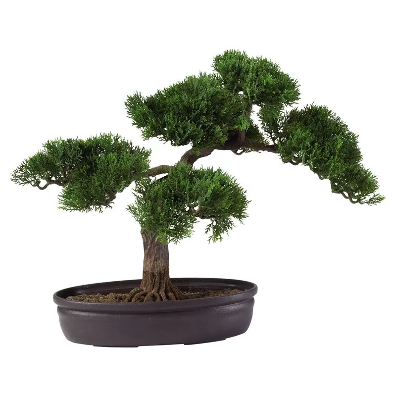 16" Cedar Bonsai Plastic Artificial Plant, Green 
16" Cedar Bonsai Plastic Artificial Plant, Green