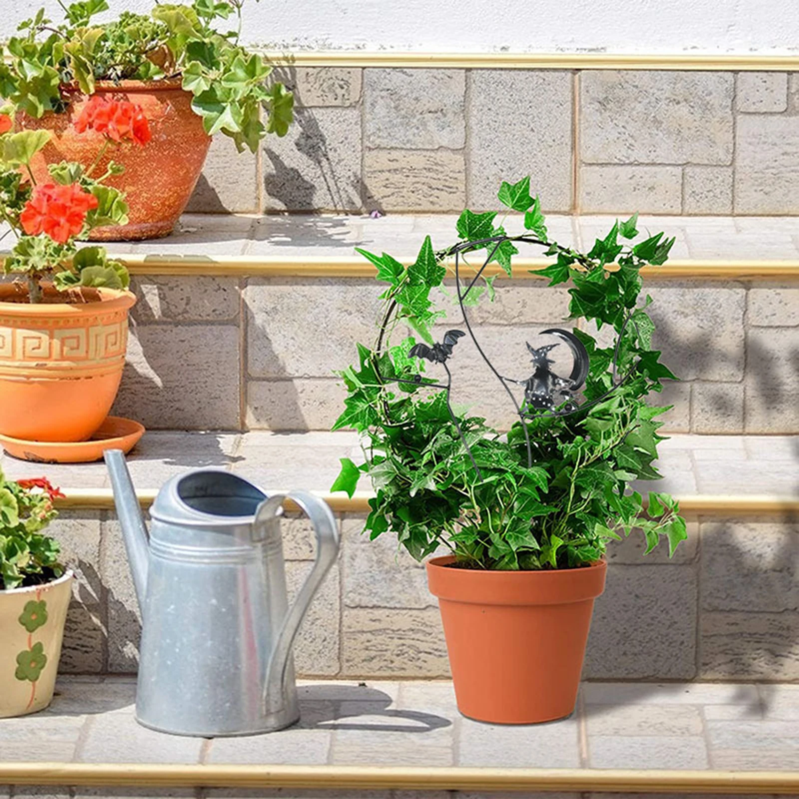Plant Growth Frame For Climbing Plants Indoor And Outdoor Potted Trellis Black Durable Vegetable Support Ladder Brackets 
Plant Growth Frame For Climbing Plants Indoor And Outdoor Potted Trellis Black Durable Vegetable Support Ladder Brackets