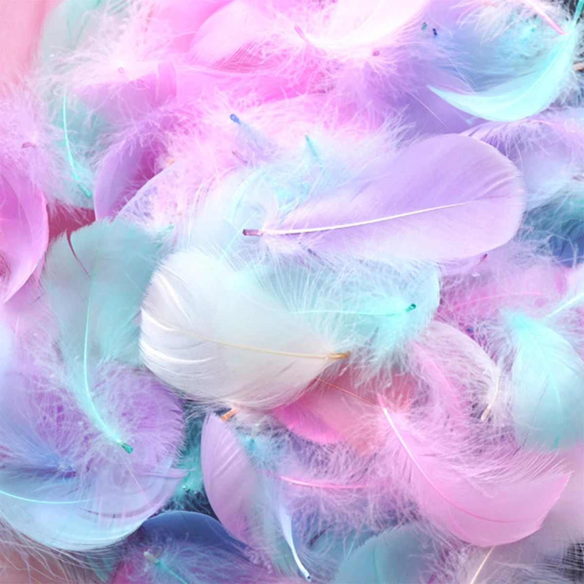 Одноразовые подарочные коробки с разноцветными перьями
Одноразовые подарочные коробки с разноцветными перьями