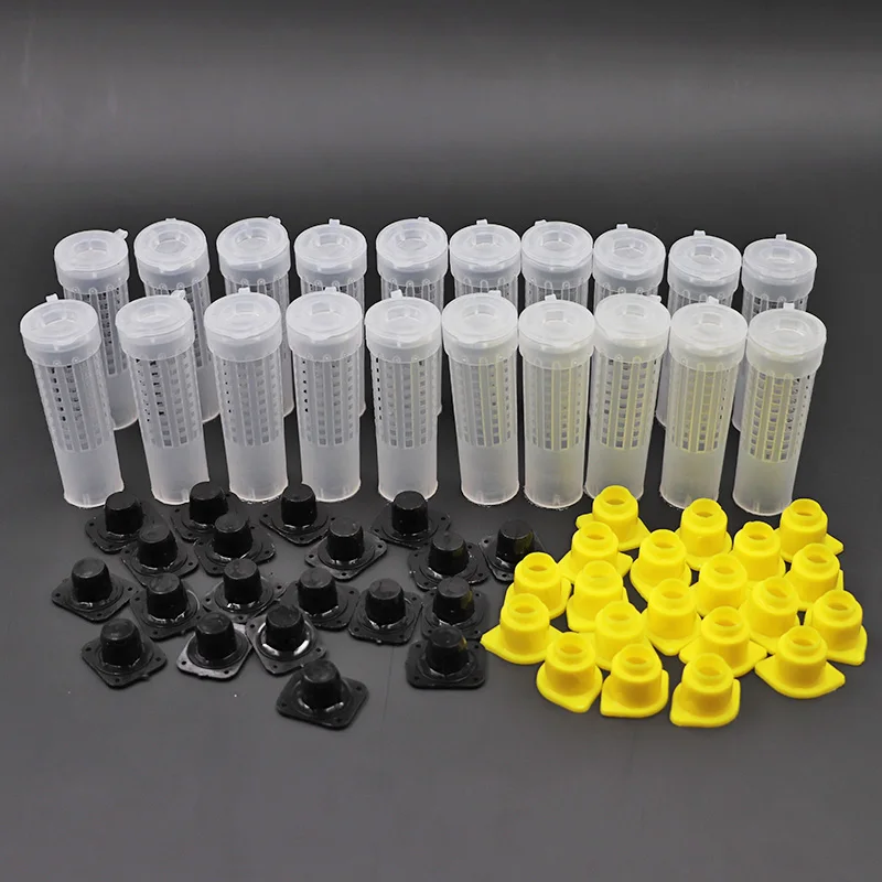20Pcs Beekeeping Tools Fertility King Pedestal Guard Longwall Shield Queen Cage Cover Protective Base Apiculture Equipement
20Pcs Beekeeping Tools Fertility King Pedestal Guard Longwall Shield Queen Cage Cover Protective Base Apiculture Equipement