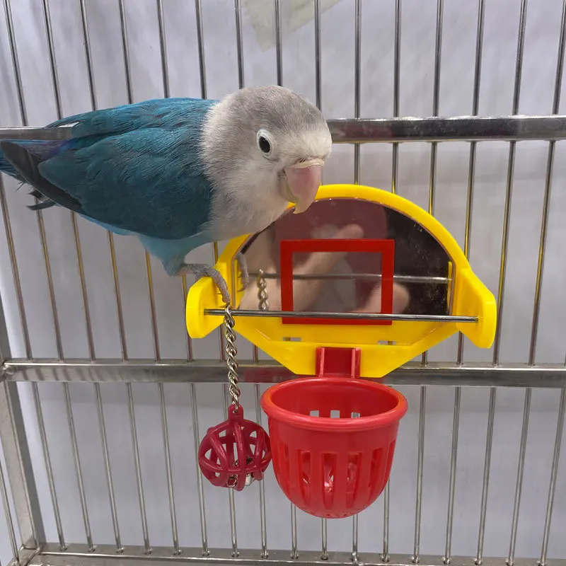 Funny Parrot Birds Toys Mini Basketball Hoop Props Parakeet Bell Ball Chew Toy Pet Supplies 
Funny Parrot Birds Toys Mini Basketball Hoop Props Parakeet Bell Ball Chew Toy Pet Supplies
