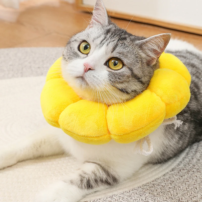 Sunflower Pet Collar Cat Collar Dog Collar Neutered Anti-Licking Anti-Scratch He Cover Dog Neck Collar Neck Cover Pet Jewelry
Sunflower Pet Collar Cat Collar Dog Collar Neutered Anti-Licking Anti-Scratch He Cover Dog Neck Collar Neck Cover Pet Jewelry