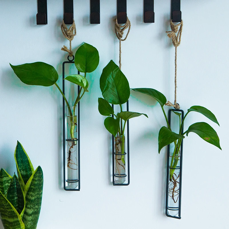 Plant Living Room Non-Porous Pendant Decoration Shop Door Hanging Wall Home Wrought Iron Meta Simple Glass Decoration Nordic
Plant Living Room Non-Porous Pendant Decoration Shop Door Hanging Wall Home Wrought Iron Meta Simple Glass Decoration Nordic
