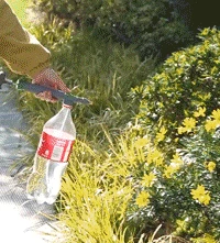 High Pressure Air Pump Manual Sprayer Adjustable Drink Bottle Spray Head Nozzle Garden Watering Tool Sprayer Agriculture Tools
High Pressure Air Pump Manual Sprayer Adjustable Drink Bottle Spray Head Nozzle Garden Watering Tool Sprayer Agriculture Tools