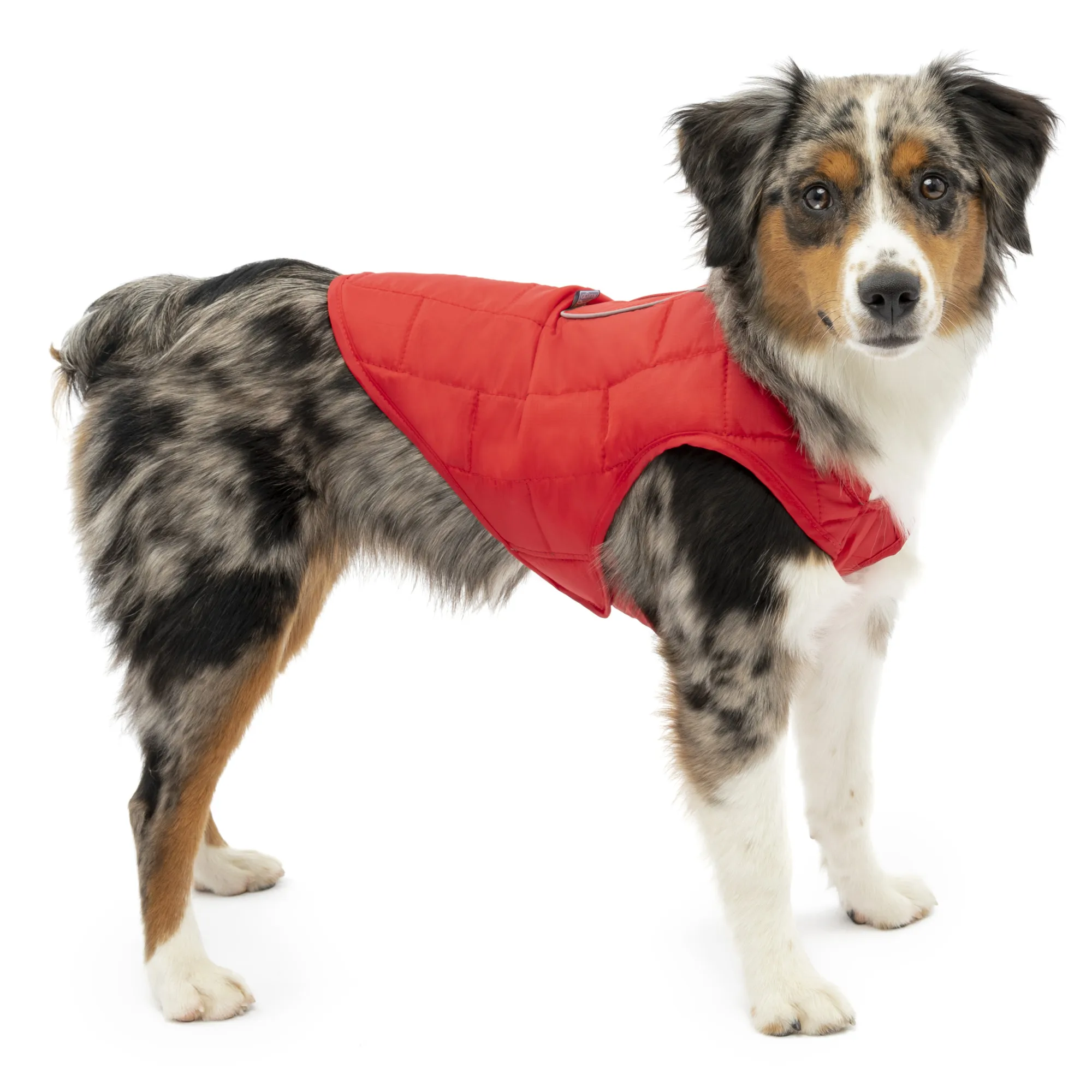 Dog Jacket, Reversible Winter Coat for Dogs, Reflective, Wear with Harness, Water Resistant, For Small Medium Large Pets (Chili
Dog Jacket, Reversible Winter Coat for Dogs, Reflective, Wear with Harness, Water Resistant, For Small Medium Large Pets (Chili