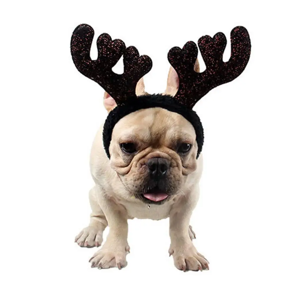Pet Pets Dog Christmas Antler Headband Shiny Holiday Puppy Supplies Cat Accessories
Pet Pets Dog Christmas Antler Headband Shiny Holiday Puppy Supplies Cat Accessories