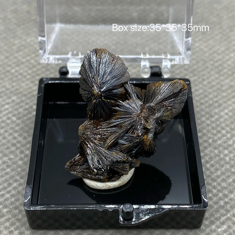 100% natural acicular mirror iron ore rough crystal stone ore specimen +box size:35*35*35mm
100% natural acicular mirror iron ore rough crystal stone ore specimen +box size:35*35*35mm