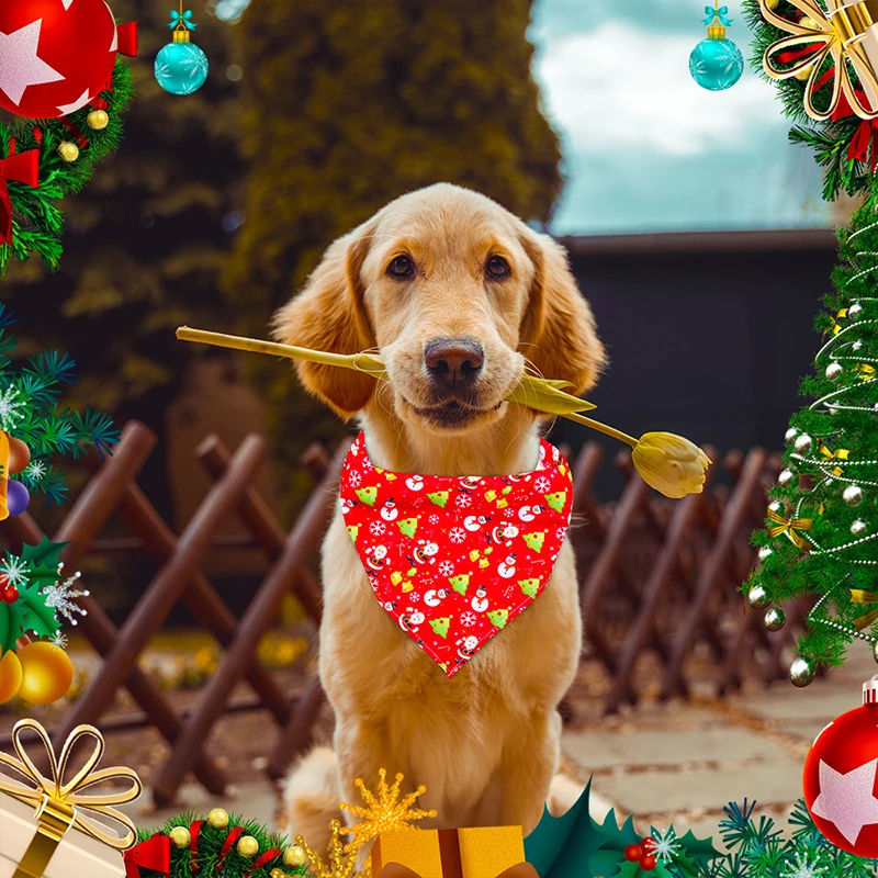 Christmas Santa Claus Printed Bibs Dog Bandana Festival Red Green Color Cartoon Triangle Scarf Dog Accessories Pet Supplies
Christmas Santa Claus Printed Bibs Dog Bandana Festival Red Green Color Cartoon Triangle Scarf Dog Accessories Pet Supplies