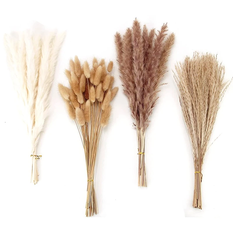 Dried Pampas Grass Decor, 100PCS Pampas Grass Contains Bunny Tails Dried Flowers, Reed Grass Bouquet for Wedding
Dried Pampas Grass Decor, 100PCS Pampas Grass Contains Bunny Tails Dried Flowers, Reed Grass Bouquet for Wedding