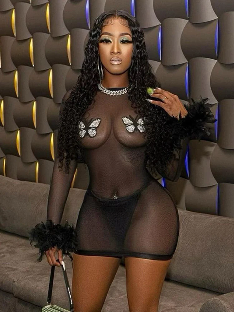 Butterfly Embroidered Feahter Long Sleeve Dress Black Mesh See Through Backless Mini Dresses for Women Nightclub Wear
Butterfly Embroidered Feahter Long Sleeve Dress Black Mesh See Through Backless Mini Dresses for Women Nightclub Wear
