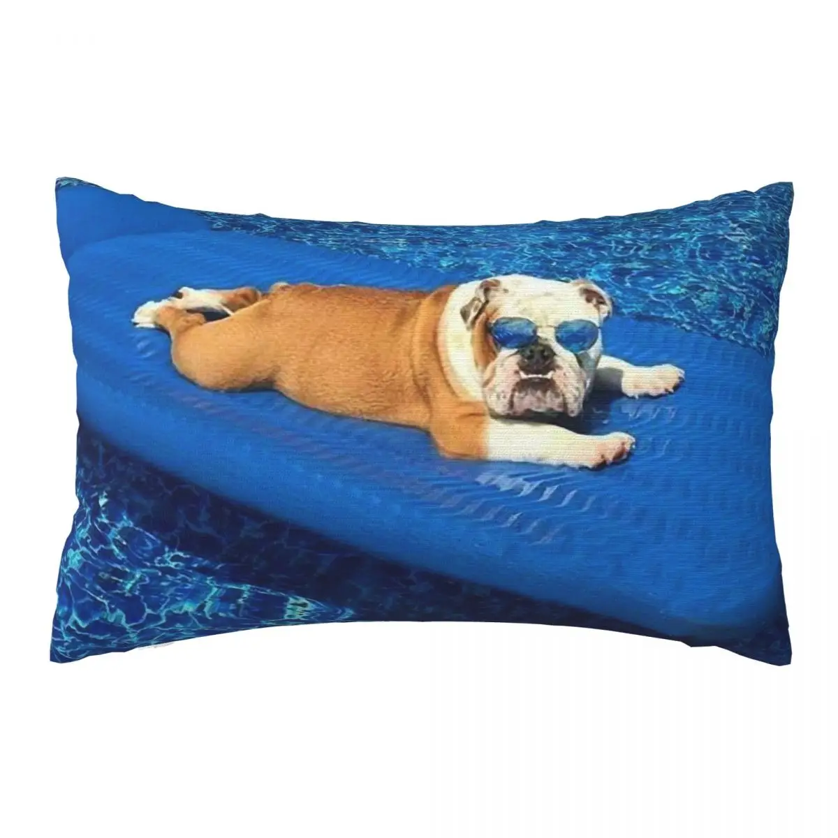English Bulldogs Decorative Pillow Covers Throw Pillow Cover Home Pillows Shells Cushion Cover Zippered Pillowcase
English Bulldogs Decorative Pillow Covers Throw Pillow Cover Home Pillows Shells Cushion Cover Zippered Pillowcase