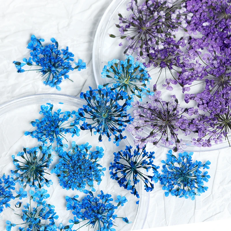 10 шт., силиконовые декоративные брелки для ногтей
10 шт., силиконовые декоративные брелки для ногтей