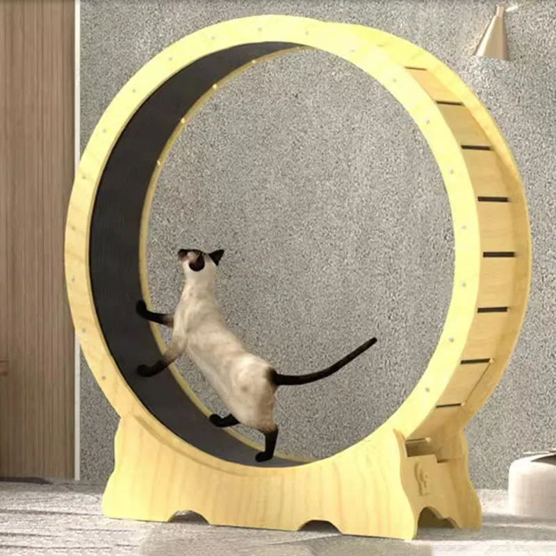 Cat Treadmill Toy Training Wheel for Cats, Tunnel Claw Sharpener, Scraper Toys, Cave, Games, Park Tracks, Pet Supplies
Cat Treadmill Toy Training Wheel for Cats, Tunnel Claw Sharpener, Scraper Toys, Cave, Games, Park Tracks, Pet Supplies