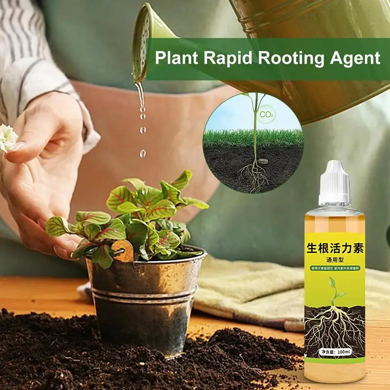 100ml Plants Root Stimulator Organic Liquid Tree Rooting Hormones Rapid Growing Root Agent For Most Transplants Garden Supplies
100ml Plants Root Stimulator Organic Liquid Tree Rooting Hormones Rapid Growing Root Agent For Most Transplants Garden Supplies