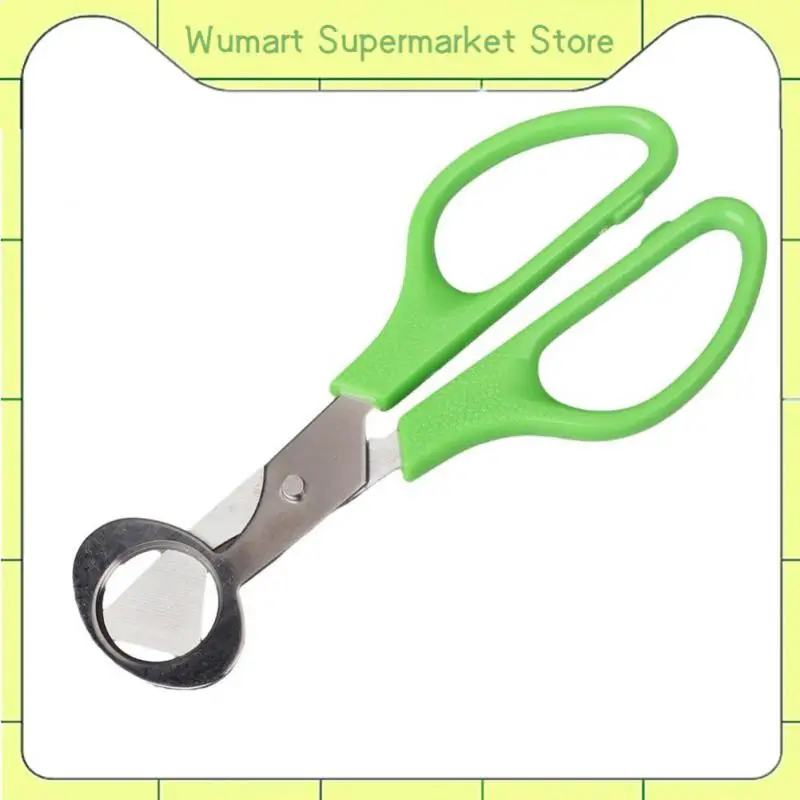 Pigeon Quail Egg Scissor Durable Bird Cutter Opener Cutter Opener Stainless Steel Blade Bird Eggshell Separator Kitchen Tool
Pigeon Quail Egg Scissor Durable Bird Cutter Opener Cutter Opener Stainless Steel Blade Bird Eggshell Separator Kitchen Tool
