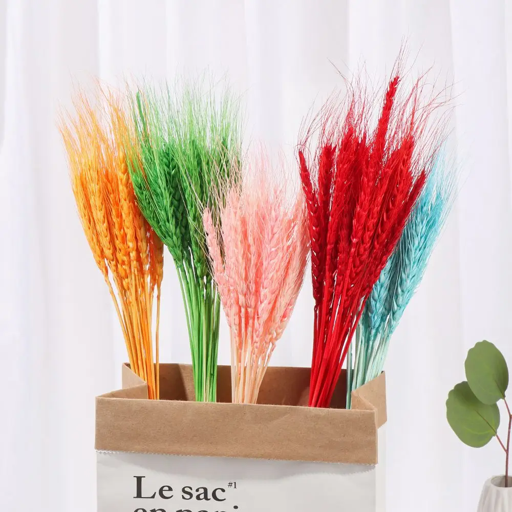 25/50pcs Wheat Ear Grass Natural Dried Flowers Colorful Real Flowers Bouquets Home Decor Party Supplies
25/50pcs Wheat Ear Grass Natural Dried Flowers Colorful Real Flowers Bouquets Home Decor Party Supplies