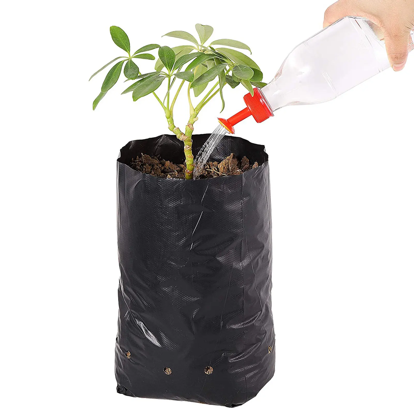 Plant Grow BagsBreathable Planters For Flowers And Vegetables Fabric 100 Pack Degradable Garden Growing Bags For Vegetables
Plant Grow BagsBreathable Planters For Flowers And Vegetables Fabric 100 Pack Degradable Garden Growing Bags For Vegetables
