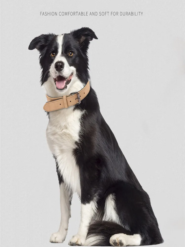 Four Seasons Universal Dog Collar Leash Set Golden Chenille French Bulldog Pet Supplies Small Large Dog Collar Pet Accessories 
Four Seasons Universal Dog Collar Leash Set Golden Chenille French Bulldog Pet Supplies Small Large Dog Collar Pet Accessories