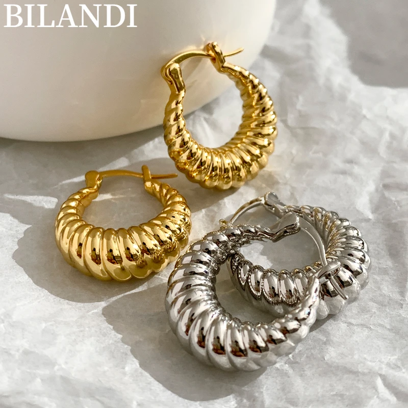 Bilandi S925 needle Fashion Jewelry U - Shape Earrings 2022 New Trend Hot Selling Simply Metal Drop Earrings For Girl Lady Gifts
Bilandi S925 needle Fashion Jewelry U - Shape Earrings 2022 New Trend Hot Selling Simply Metal Drop Earrings For Girl Lady Gifts