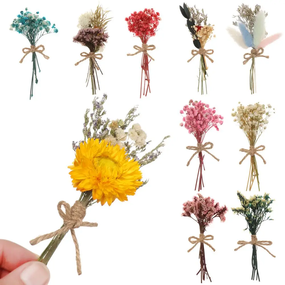 Colorful Real Flowers Mini Natural Dried Flower Bouquet Party Decoration Creative Valentine's Day Flowers Photo Props
Colorful Real Flowers Mini Natural Dried Flower Bouquet Party Decoration Creative Valentine's Day Flowers Photo Props