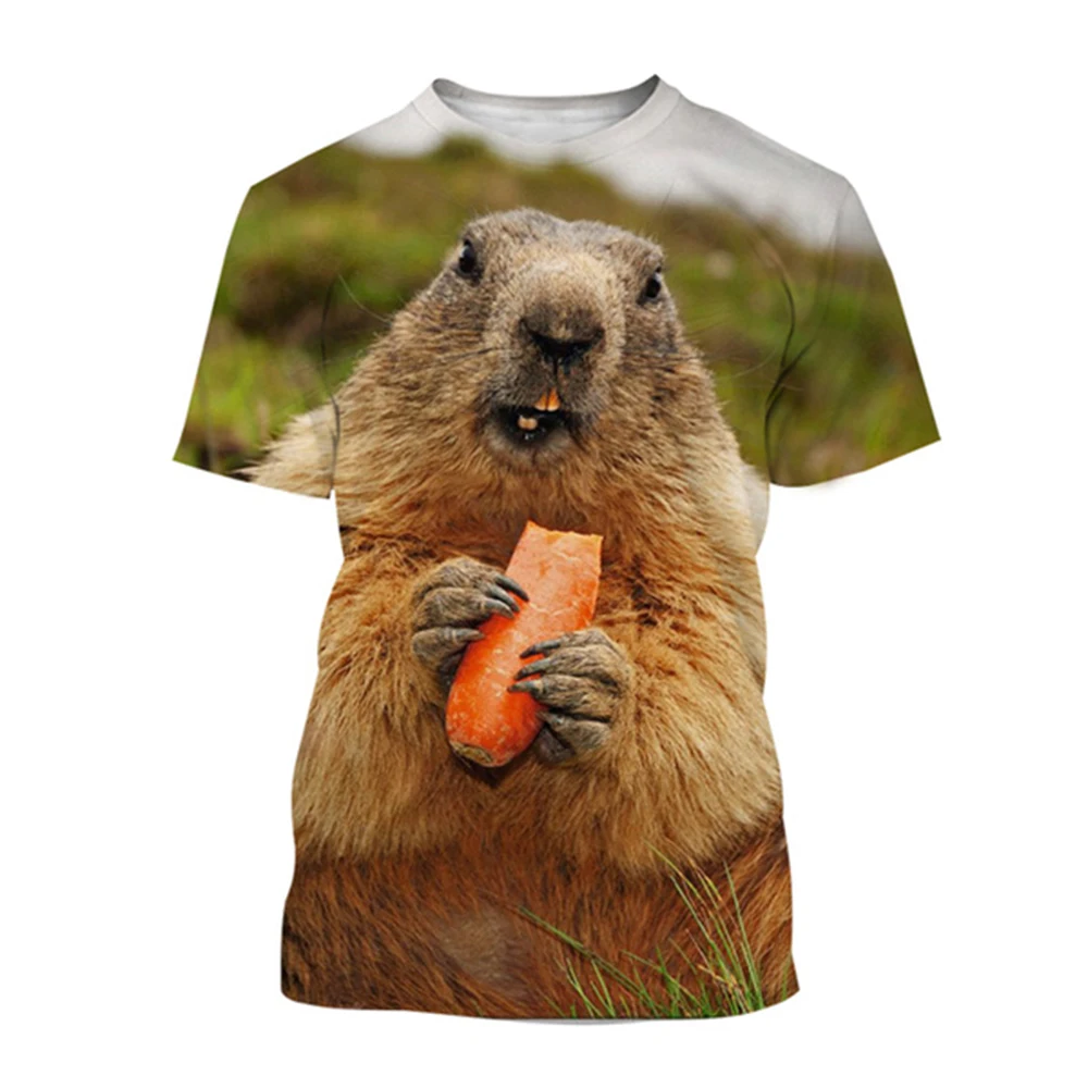Wild Animal Marmot 3d Print Summer Men/Women Round Neck T-shirt Casual Short Sleeve Oversized T Shirt Fashion Trend Men Clothing
Wild Animal Marmot 3d Print Summer Men/Women Round Neck T-shirt Casual Short Sleeve Oversized T Shirt Fashion Trend Men Clothing
