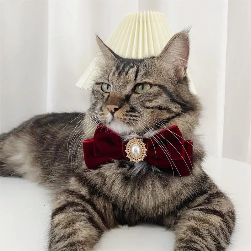 1pc Retro Cats Collars Velvet Kitten Bowknot Bow Tie With Pearl Adjustable Anti-suffocation Puppy Necklace Pets Party Collars
1pc Retro Cats Collars Velvet Kitten Bowknot Bow Tie With Pearl Adjustable Anti-suffocation Puppy Necklace Pets Party Collars
