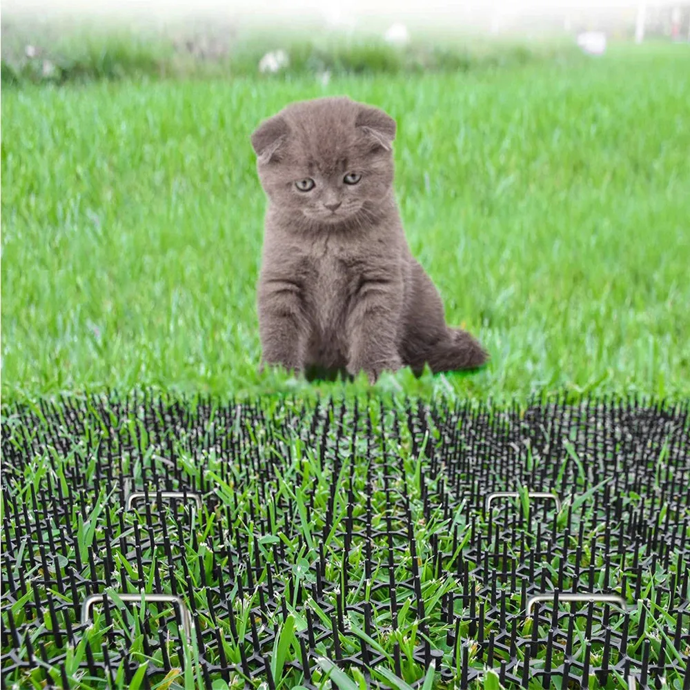 Garden Buildings Paving Molds Cat Scat Mats Spike Anti Pest Deterrent Garden ABS Repellent Animal Scarer Keep Them Away 10Pcs
Garden Buildings Paving Molds Cat Scat Mats Spike Anti Pest Deterrent Garden ABS Repellent Animal Scarer Keep Them Away 10Pcs