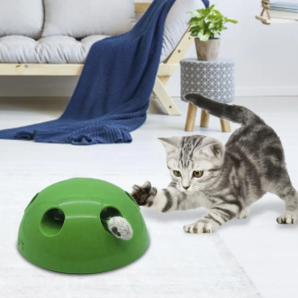 Cat Toy, Puzzle Interactive Cat Toys Whack-A-Mole Game, Shape Hamster Funny ABS Box for Playing Cat
Cat Toy, Puzzle Interactive Cat Toys Whack-A-Mole Game, Shape Hamster Funny ABS Box for Playing Cat